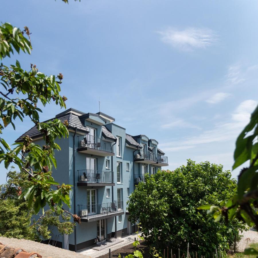Villa Lеvandi 辛尼莫雷特 外观 照片